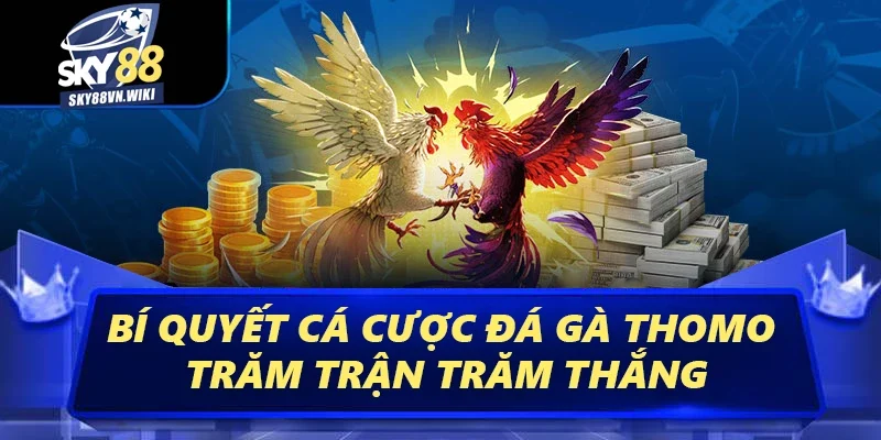 Đá Gà Thomo Sky88 - Trải Nghiệm Các Trận Đấu Kịch Tính 4 Bí quyết cá cược đá gà Thomo trăm trận trăm thắng