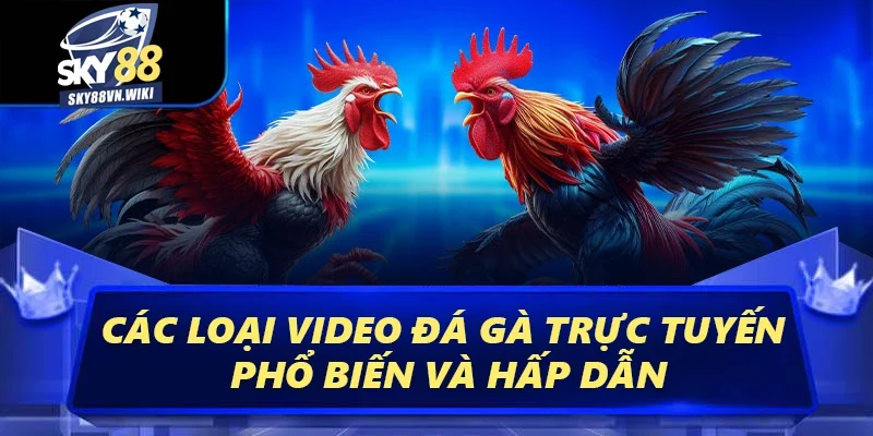Video Đá Gà – Mang Đến Những Trận Đấu Đỉnh Cao Nhất 3 Các loại video đá gà trực tuyến phổ biến và hấp dẫn