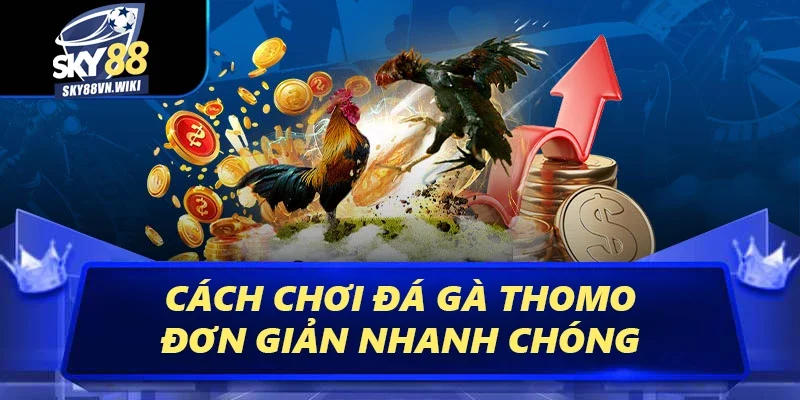 Đá Gà Thomo Sky88 - Trải Nghiệm Các Trận Đấu Kịch Tính 3 Cách tham gia cá cược đá gà Thomo đơn giản nhanh chóng