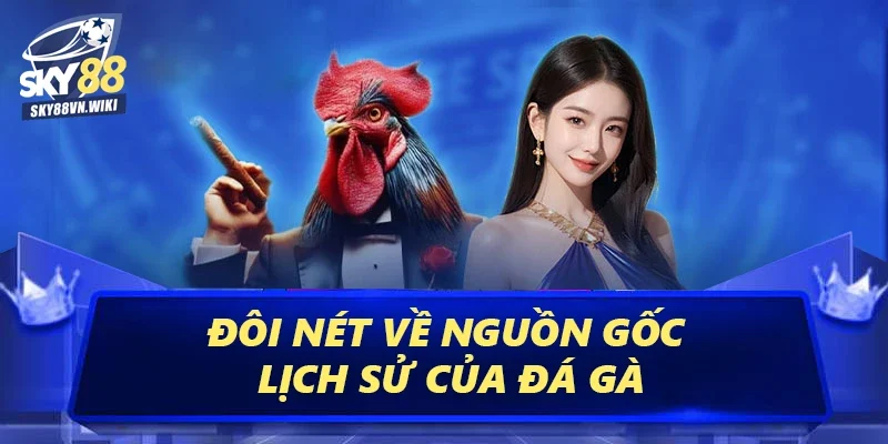Đá Gà Sky88 Cá Cược Tỷ Lệ Thắng Cao, Rút Tiền Cực Nhanh 1 Đôi nét về nguồn gốc lịch sử của đá gà