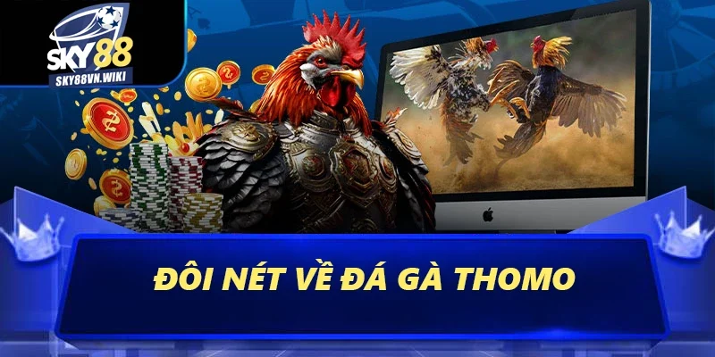 Đá Gà Thomo Sky88 - Trải Nghiệm Các Trận Đấu Kịch Tính 1 Đôi nét về đá gà Thomo