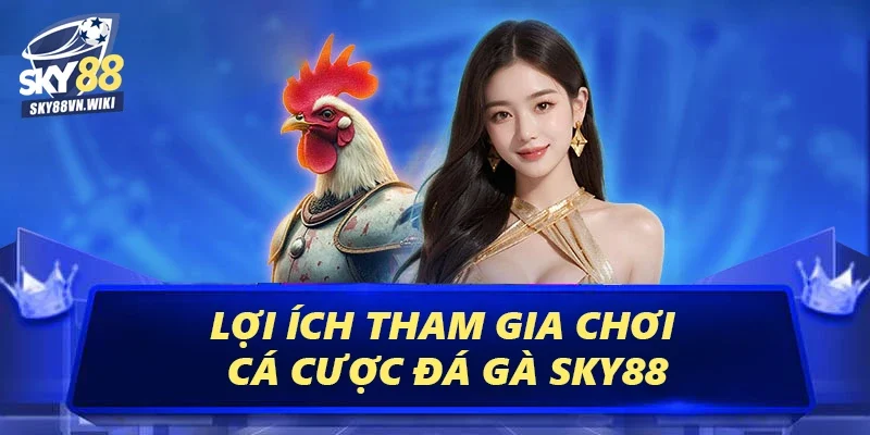 Đá Gà Sky88 Cá Cược Tỷ Lệ Thắng Cao, Rút Tiền Cực Nhanh 3 Lợi ích tham gia chơi cá cược đá gà Sky88