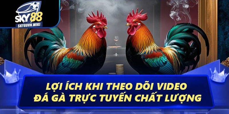 Video Đá Gà – Mang Đến Những Trận Đấu Đỉnh Cao Nhất 4 Lợi ích khi theo dõi video đá gà trực tuyến chất lượng