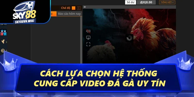 Video Đá Gà – Mang Đến Những Trận Đấu Đỉnh Cao Nhất 5 Cách lựa chọn hệ thống cung cấp video đá gà uy tín