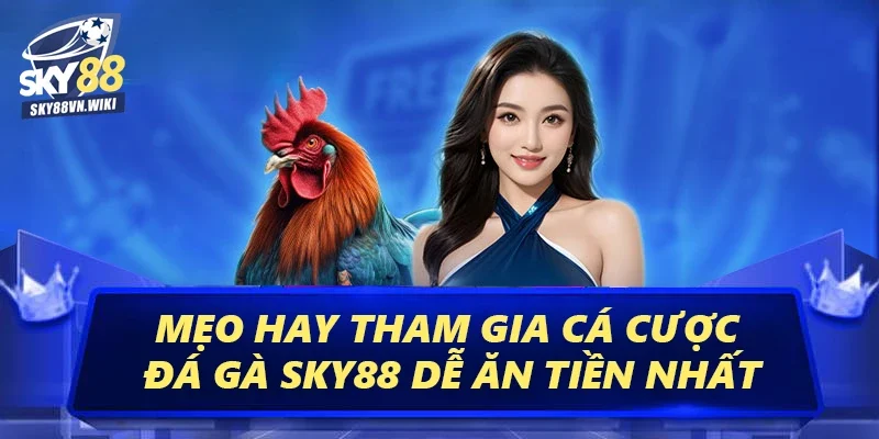 Đá Gà Sky88 Cá Cược Tỷ Lệ Thắng Cao, Rút Tiền Cực Nhanh 4 Mẹo hay tham gia cá cược đá gà Sky88 dễ ăn tiền nhất